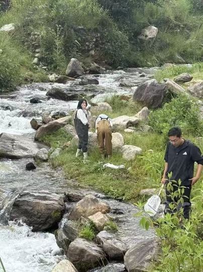 Sampling aquatic insects with a hand net in a mountain stream